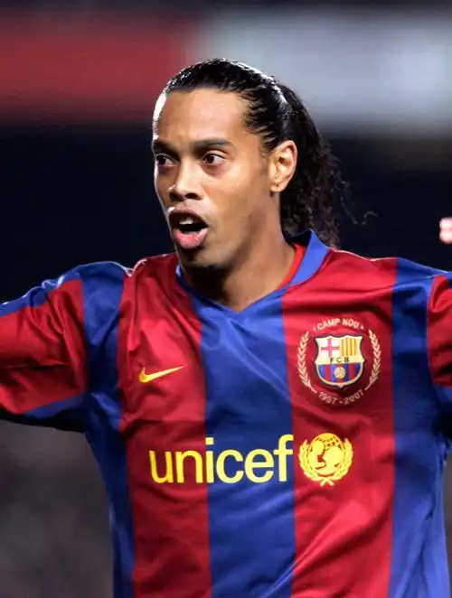 成功地融入 成功地融入