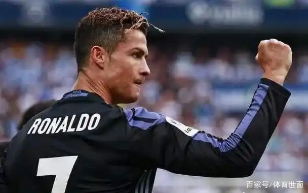 供了极佳的 供了极佳的