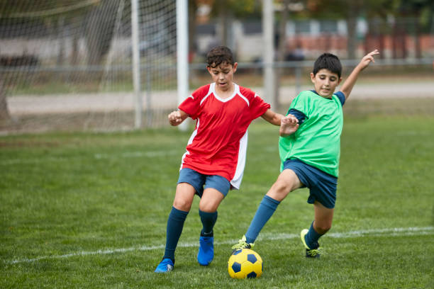 多功能的运 多功能的运